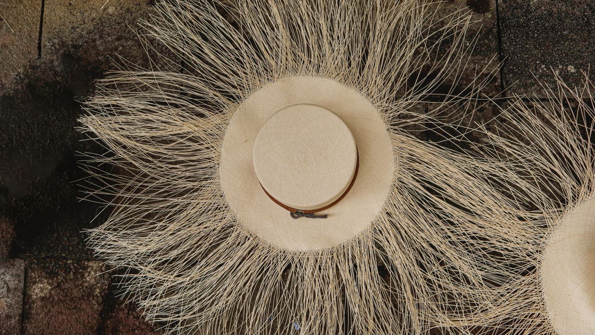 Preparación del sombrero